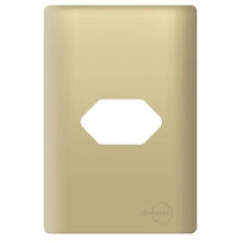 Placa 4X2 Tomada Horizontal Dourada + Suporte Novara