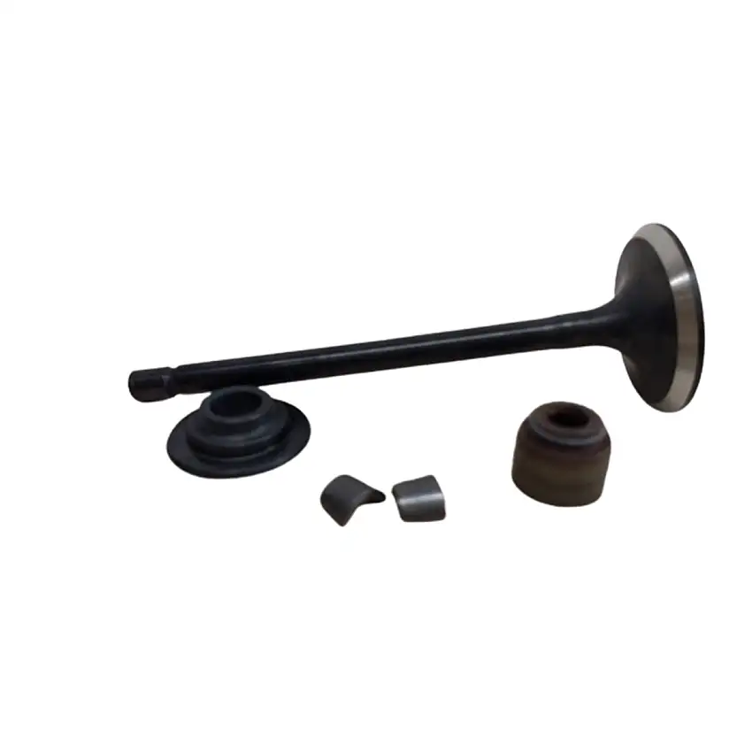 Válvula Descarga Motor Horizontal Vanguard 35HP Briggs & Stratton 844787